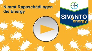 Sivanto Energy Produktbild