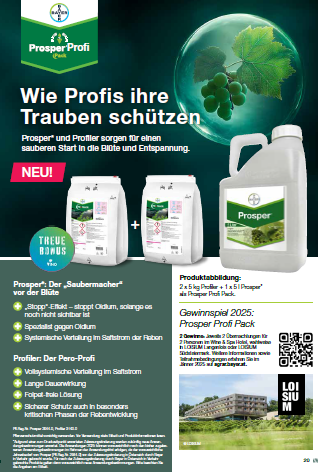 Gewinnspiel 2025: Prosper Profi Pack