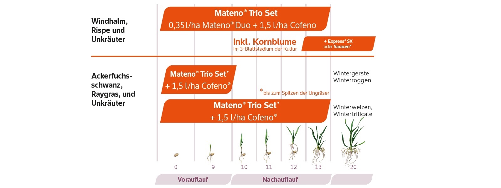 Bayer Anwendungsempfehlung Mateno Trio Set