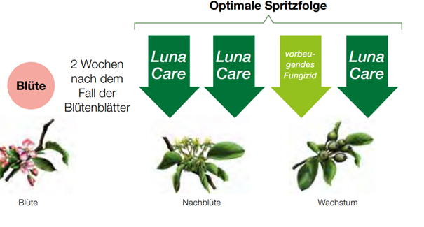 Luna Care Anwendung