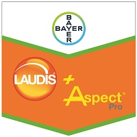 Laudis+Aspect Pro