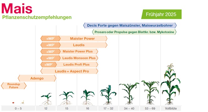 Anwendungsempfehlung: Laudis Profi Plus