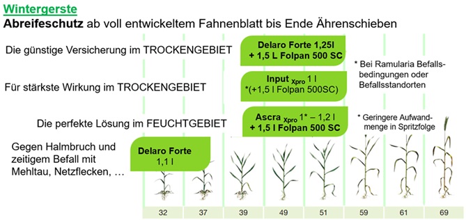 Bayer Pflanzenschutzempfehlungen für Wintergerste - Abreifeschutz