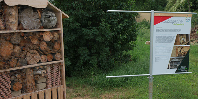 Forward Fram Hollabrunn