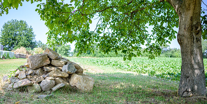 Forward Fram Hollabrunn