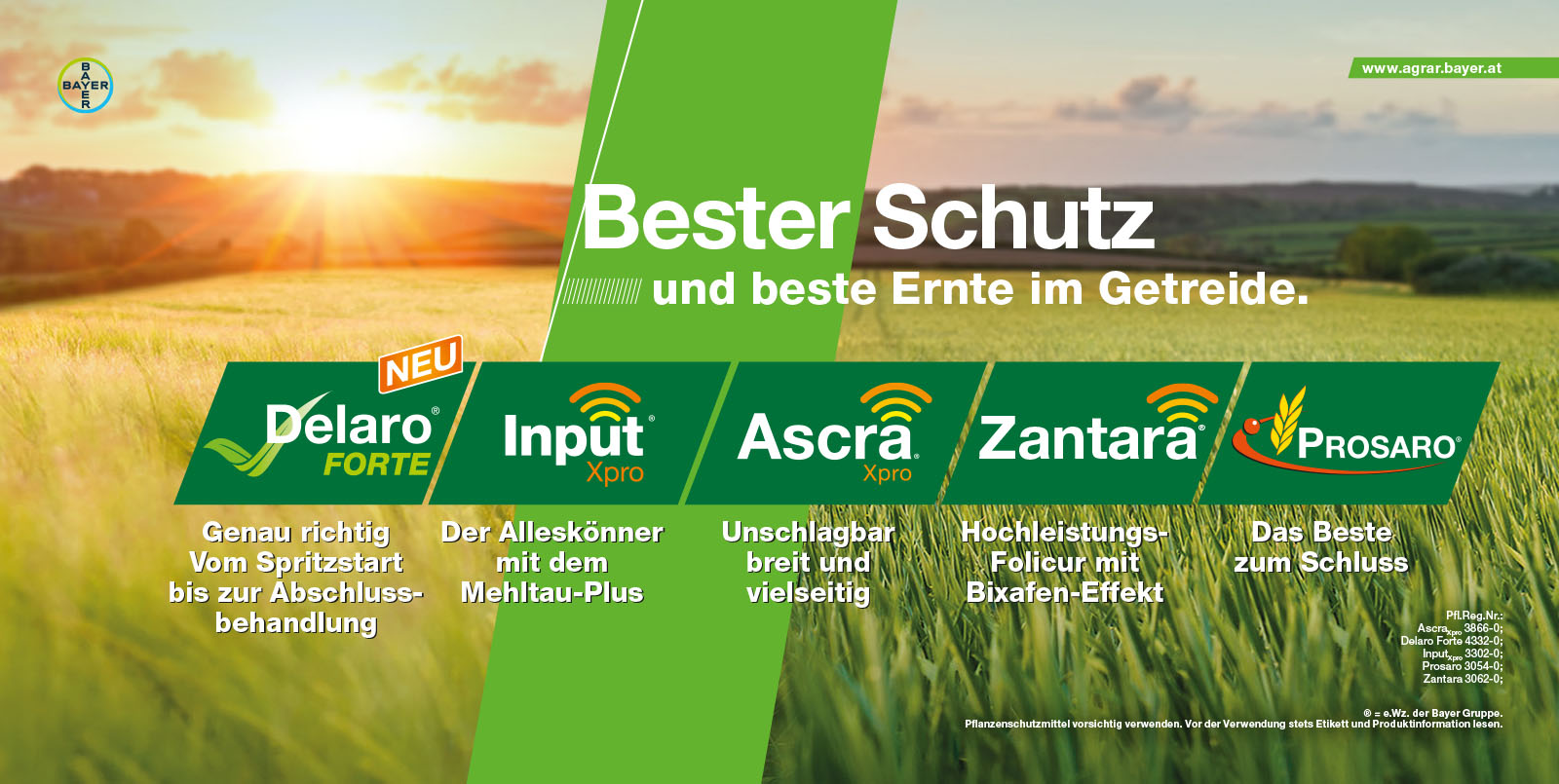 Bester Schutz mit Getreidefungiziden von Bayer
