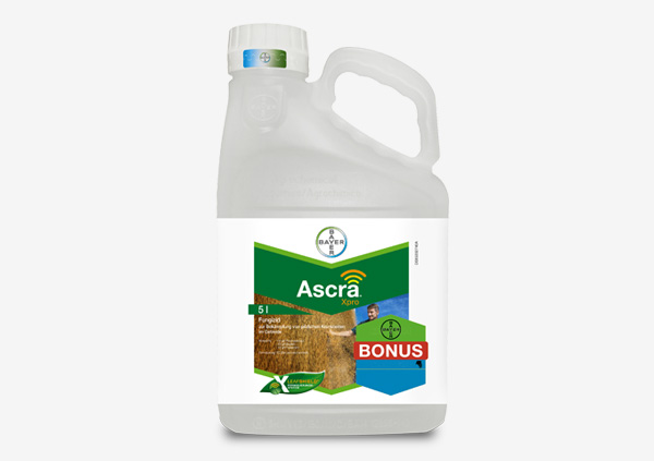 Produktabbildung Ascra Xpro
